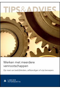 Werken met meerdere vennootschappen