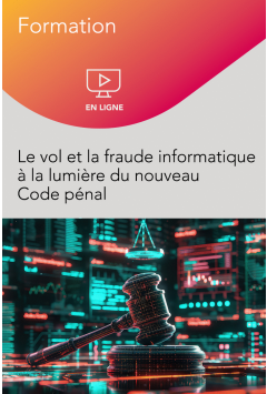 Webinaire - Le vol et la fraude informatique à la lumière du nouveau Code pénal