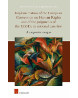 Implementation of the European Convention on Human Rights and ECtHR judgments in national case law