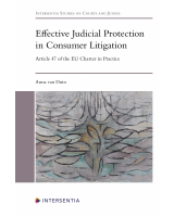 Effective Judicial Protection in Consumer Litigation