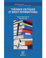 Théories critiques et droit international