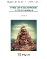 Droit des organisations internationales