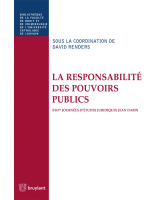 La responsabilité des pouvoirs publics