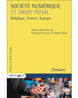 Société numérique et droit pénal