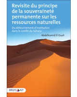 Revisite du principe de la souveraineté permanente sur les ressources naturelles