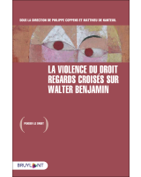 La violence du droit