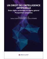 Un droit de l’intelligence artificielle : entre règles sectorielles et régime général