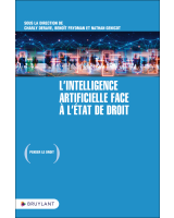 L'intelligence artificielle face à l'État de droit