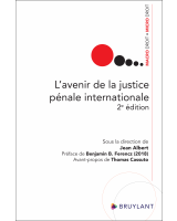 L'avenir de la justice pénale internationale