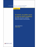 De minimis : les petites causes en droit de l'Union européenne