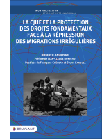 La CJUE et la protection des droits fondamentaux face à la répression des migrations irrégulières