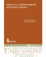 Droit de la responsabilité. Questions choisies