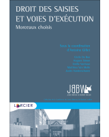 Droit des saisies et voies d’exécution