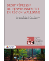 Droit répressif de l'environnement en Région wallonne