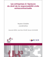 Les entreprises à l'épreuve du droit de la responsabilité civile extracontractuelle