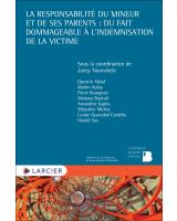 La responsabilité du mineur et de ses parents : du fait dommageable à l'indemnisation de la victime