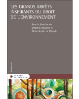 Les grands arrêts inspirants du droit de l'environnement