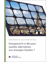 Energierecht in Brussel: quelles alternatives aux énergies fossiles ?