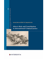 Africa's Role and Contribution to International Criminal Justice