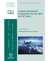 Le droit international humanitaire face aux défis du XXI<sup>e</sup> siècle