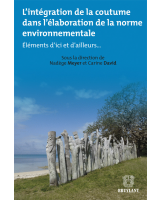 L'intégration de la coutume dans l'élaboration de la norme environnementale