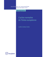 L'action normative de l'Union européenne