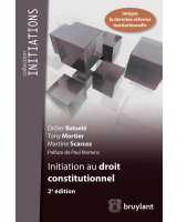 Initiation au droit constitutionnel