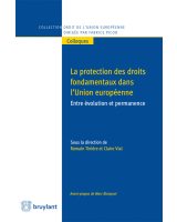 La protection des droits fondamentaux dans l'Union européenne