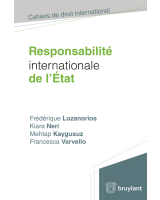 Responsabilité internationale de l'État