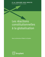 Les réactions constitutionnelles à la globalisation