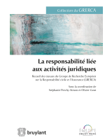 La responsabilité liée aux activités juridiques