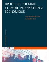 Droits de l'homme et droit international économique