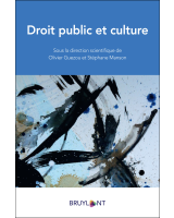 Droit public et culture