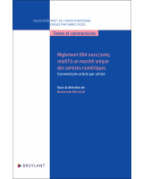 Règlement DSA 2022/2065 relatif à un marché unique des services numériques