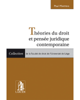 Théories du droit et pensée juridique contemporaine