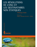 Les résolutions de l'ONU et  les destinataires non étatiques