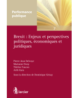 Brexit : Enjeux et perspectives politiques, économiques et juridiques