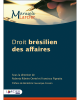 Droit brésilien des affaires