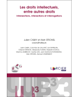 Les droits intellectuels, entre autres droits 